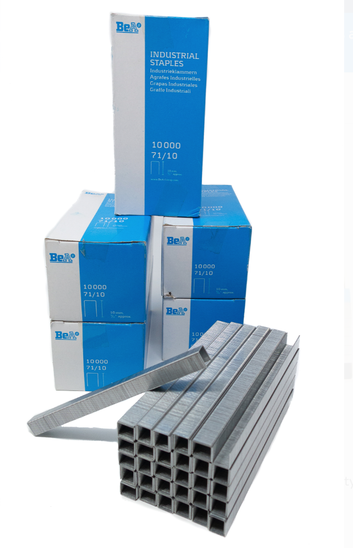 Staples Series 71/12 Stainless Steel 3/8